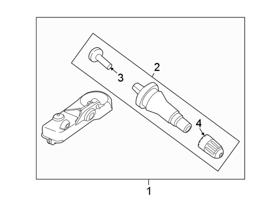 2016-ford-explorer-tire-pressure-monitoring-system-sensor-valve-assembly-valve-stem-f2gz1700c