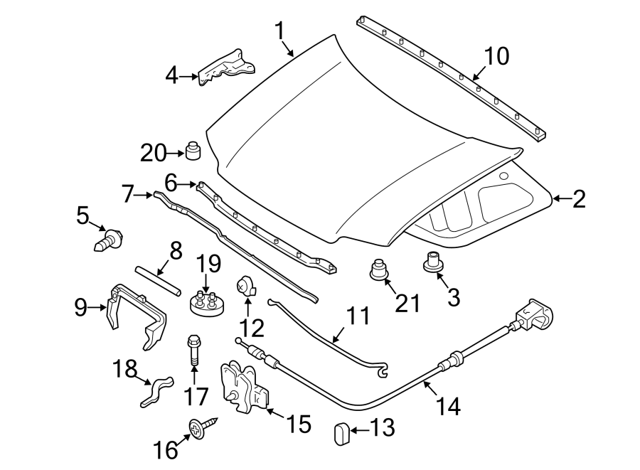 Ford Escape Hood Panel - 8L8Z16612A | Lakeland Ford Online Parts ...